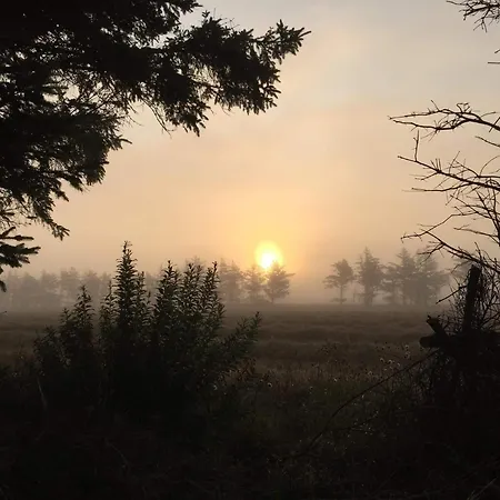 بيت للعطل 8 Person In