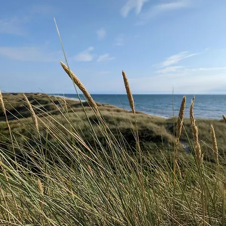 بيت للعطل 8 Person In *