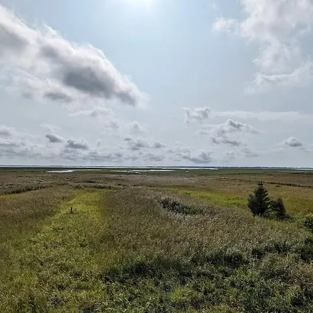 8 Person In بيت للعطل Ulfborg