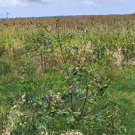 8 Person In بيت للعطل Ulfborg