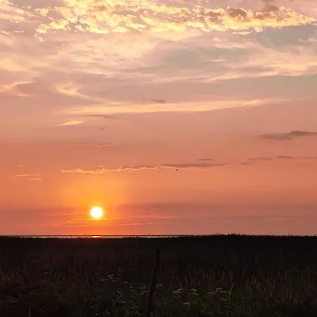 بيت للعطل 8 Person In Ulfborg